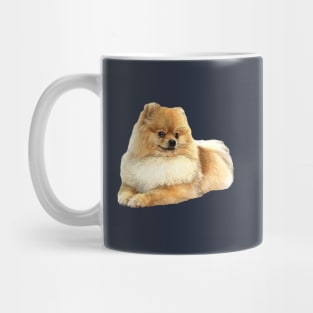 Pomeranian Puppy Dog Mug